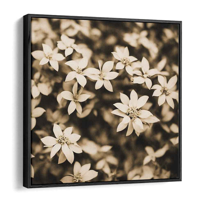 Sepia Tropical Flowers #008