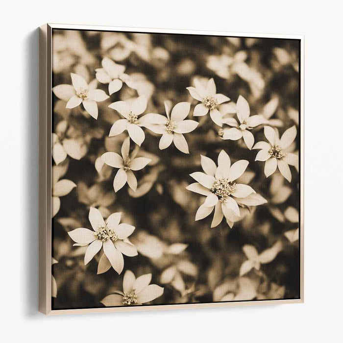 Sepia Tropical Flowers #008