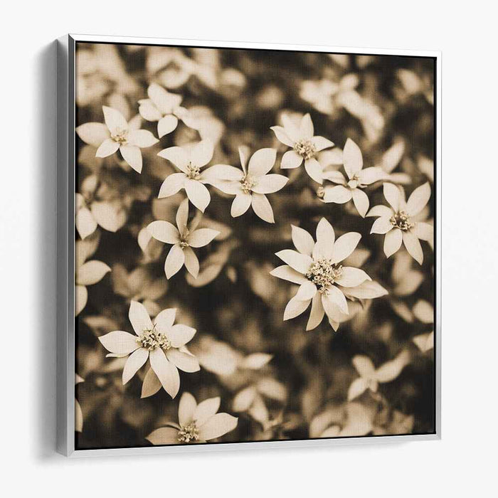 Sepia Tropical Flowers #008