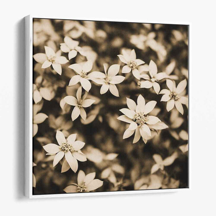 Sepia Tropical Flowers #008