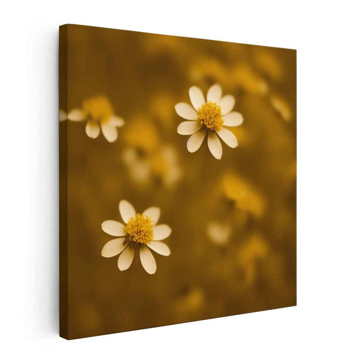 Sepia Wild Flowers #001