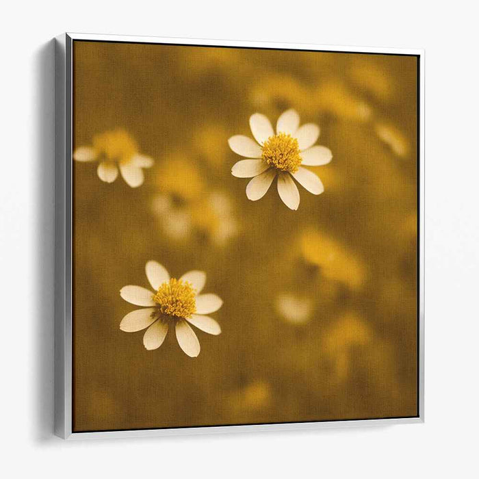 Sepia Wild Flowers #001