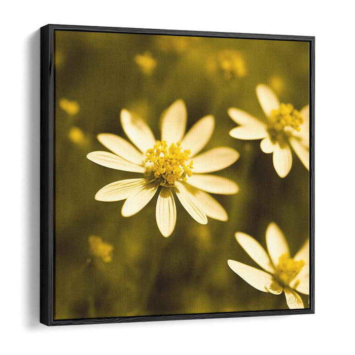 Sepia Wild Flowers #003