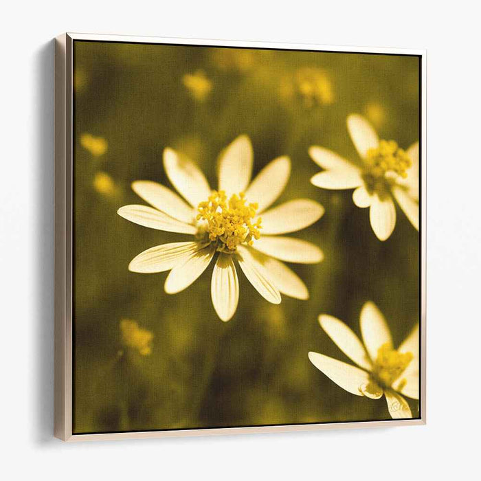 Sepia Wild Flowers #003