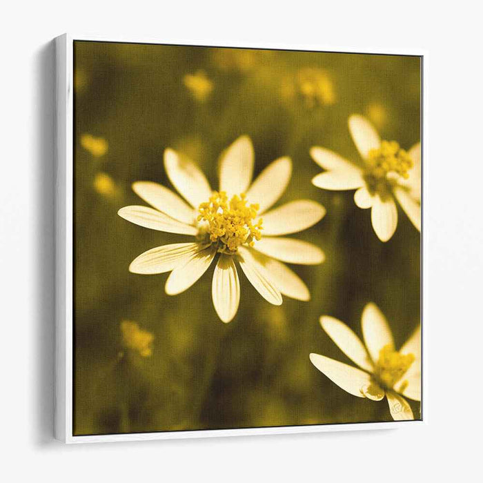 Sepia Wild Flowers #003