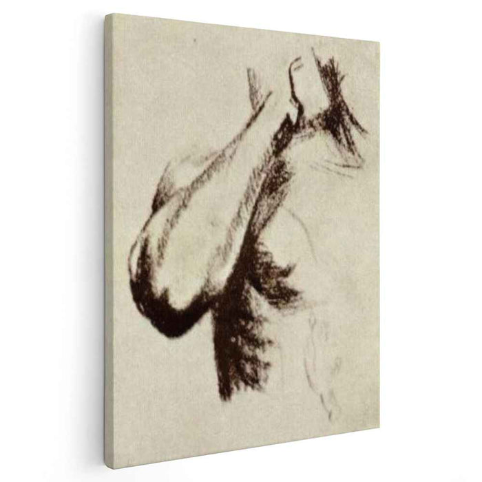 Sketch of a Right Arm and Shoulder (1886) by Vincent van Gogh
