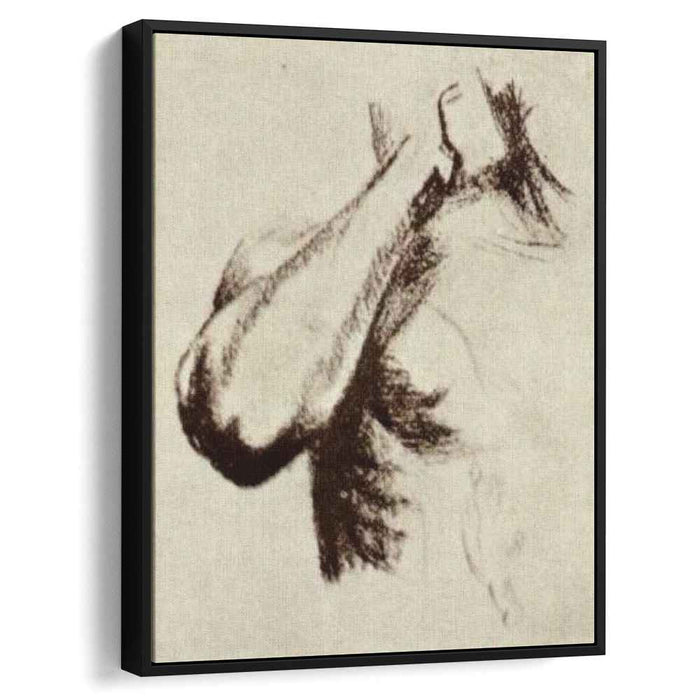 Sketch of a Right Arm and Shoulder (1886) by Vincent van Gogh