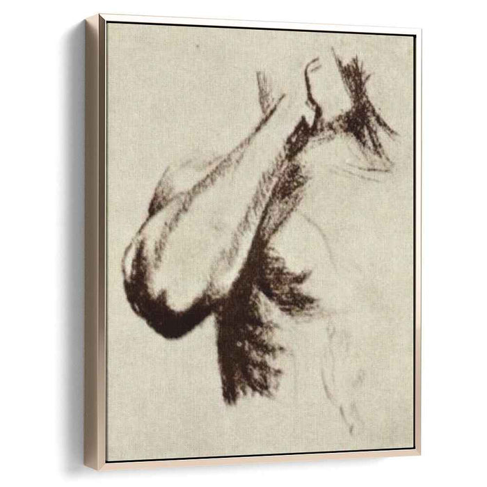 Sketch of a Right Arm and Shoulder (1886) by Vincent van Gogh