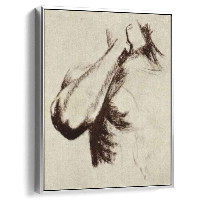 Sketch of a Right Arm and Shoulder (1886) by Vincent van Gogh
