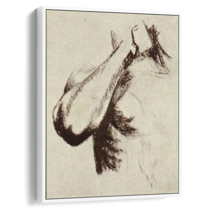 Sketch of a Right Arm and Shoulder (1886) by Vincent van Gogh