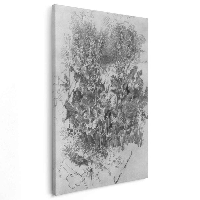 Sorrel by Ivan Shishkin