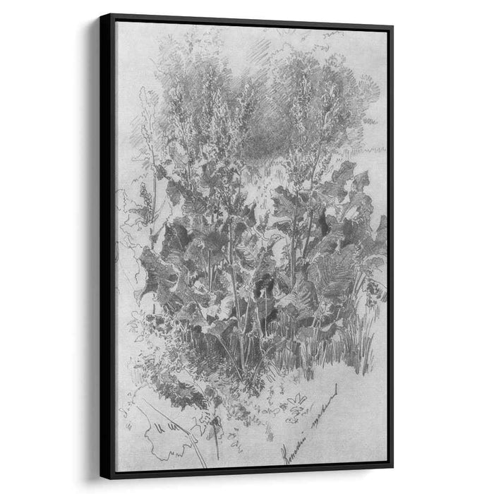 Sorrel by Ivan Shishkin