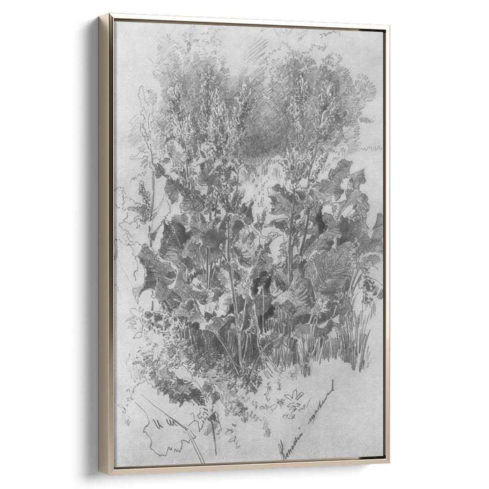 Sorrel by Ivan Shishkin