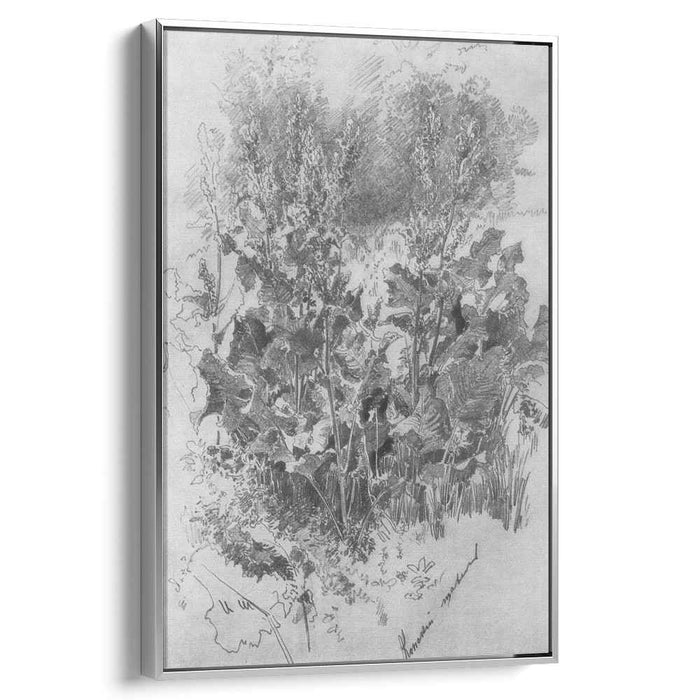 Sorrel by Ivan Shishkin