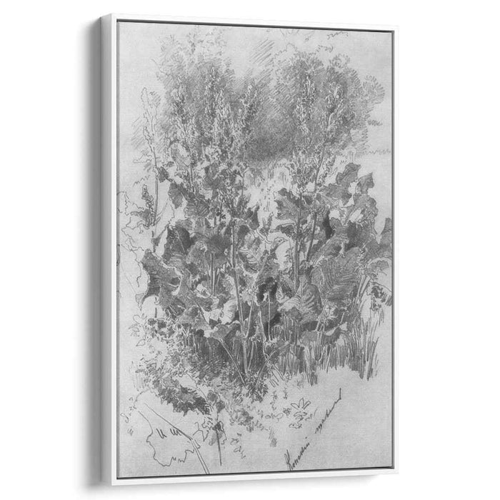 Sorrel by Ivan Shishkin