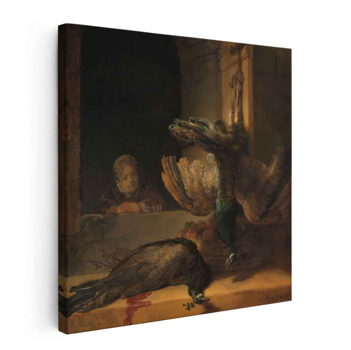 Dead peacocks (1636) by Rembrandt