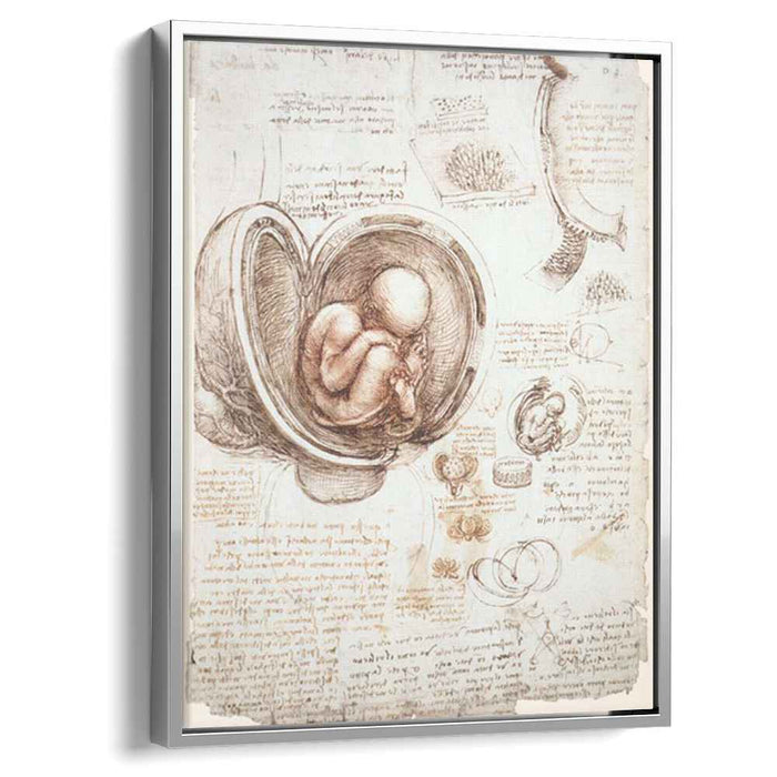 Studies of the foetus in the womb (1513) by Leonardo da Vinci