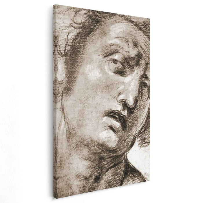 Study for the Head (1507) by Raphael