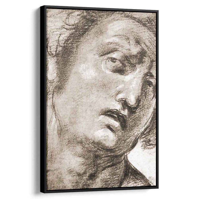 Study for the Head (1507) by Raphael