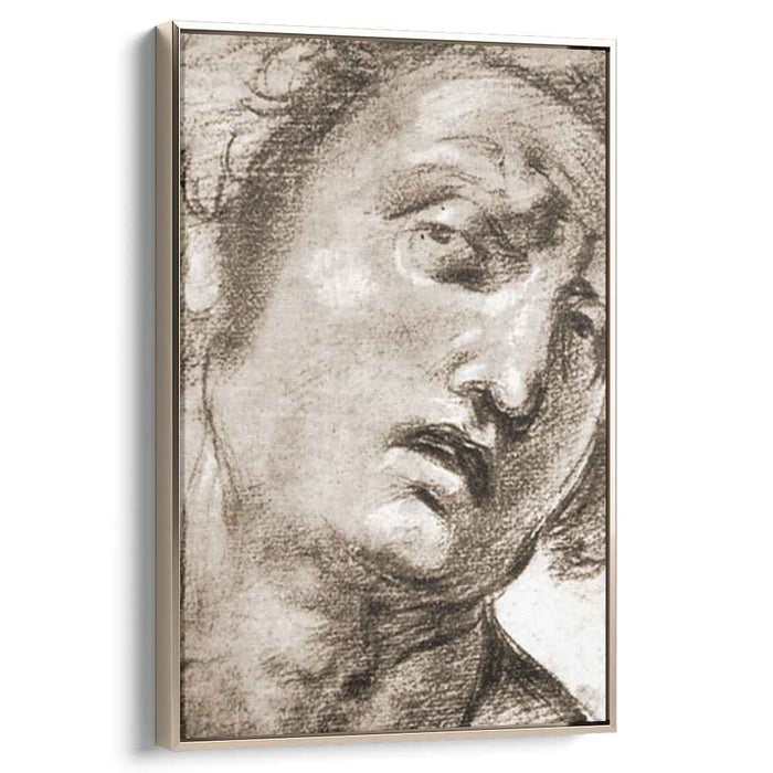 Study for the Head (1507) by Raphael