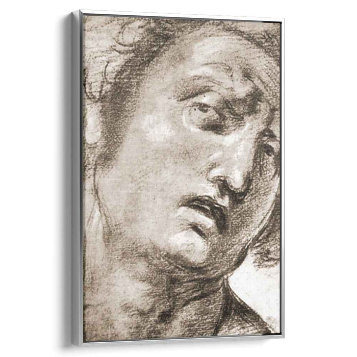 Study for the Head (1507) by Raphael