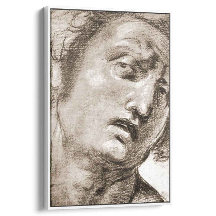 Study for the Head (1507) by Raphael