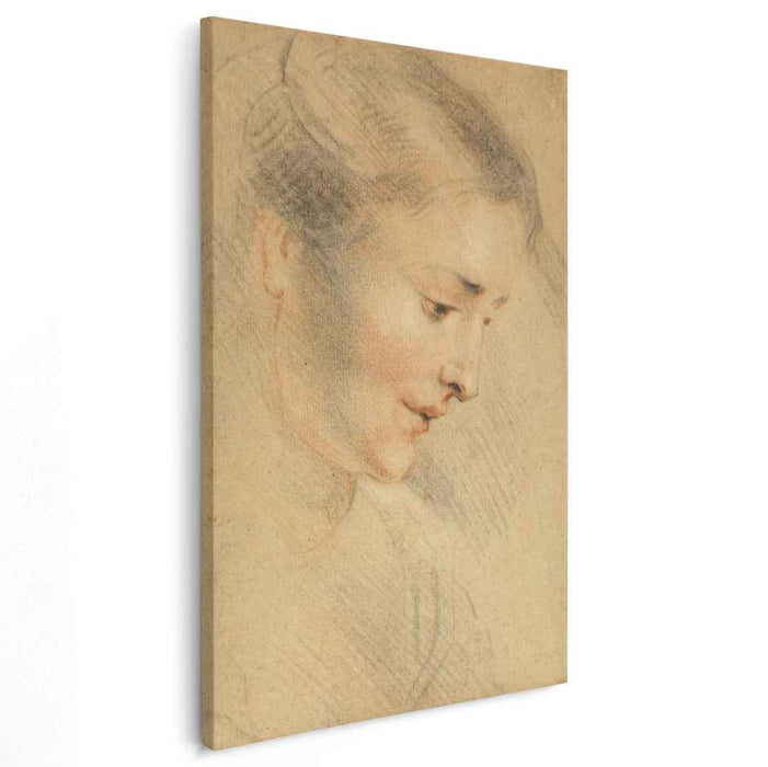 Study of a Woman's Head (1710) by Antoine Watteau