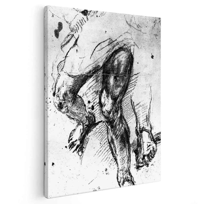 Study of legs (1557) by Titian