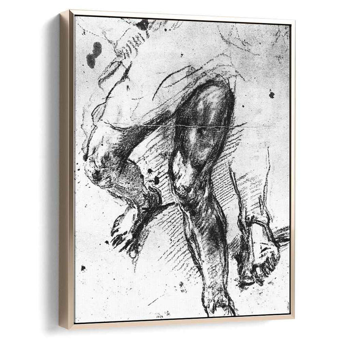 Study of legs (1557) by Titian