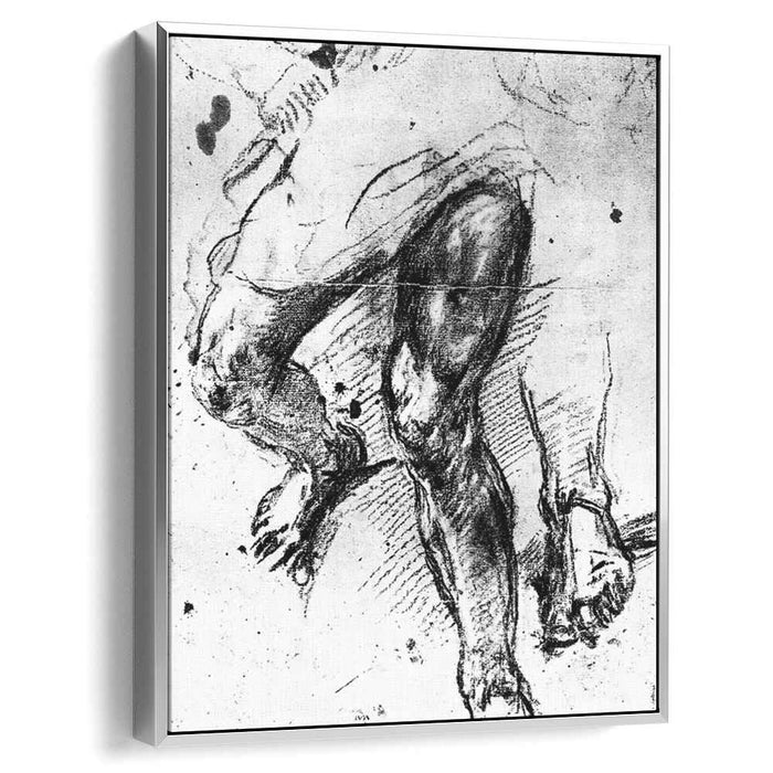Study of legs (1557) by Titian