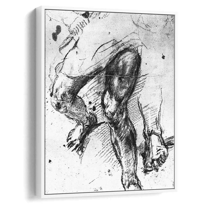 Study of legs (1557) by Titian