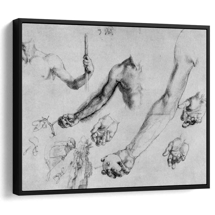 Study of male hands and arms (1504) by Albrecht Durer