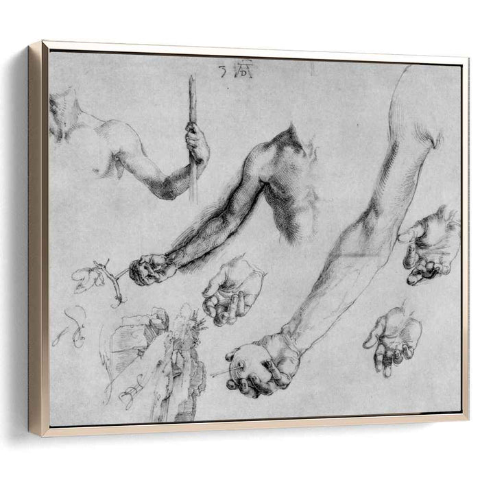 Study of male hands and arms (1504) by Albrecht Durer
