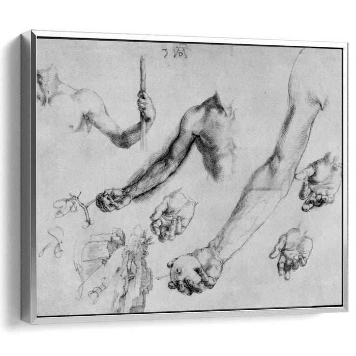 Study of male hands and arms (1504) by Albrecht Durer