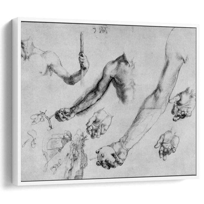 Study of male hands and arms (1504) by Albrecht Durer