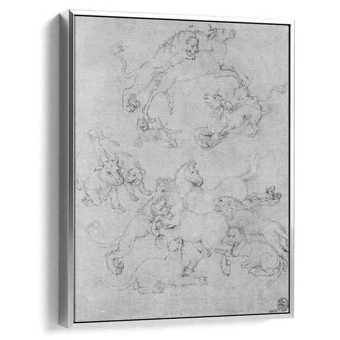 Study sheet with the attacked animals by Albrecht Durer