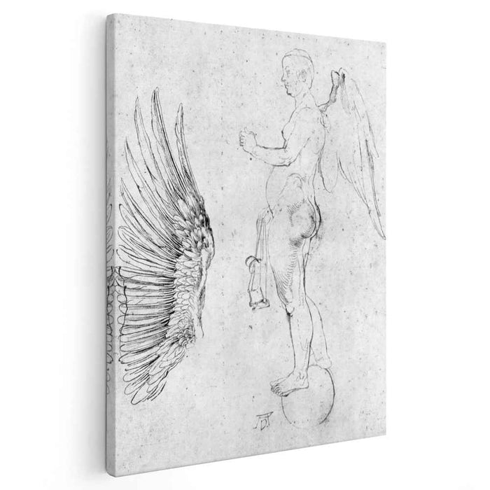 Study to a large fortune (1502) by Albrecht Durer