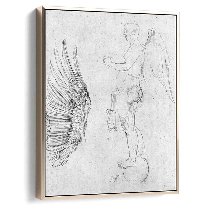 Study to a large fortune (1502) by Albrecht Durer