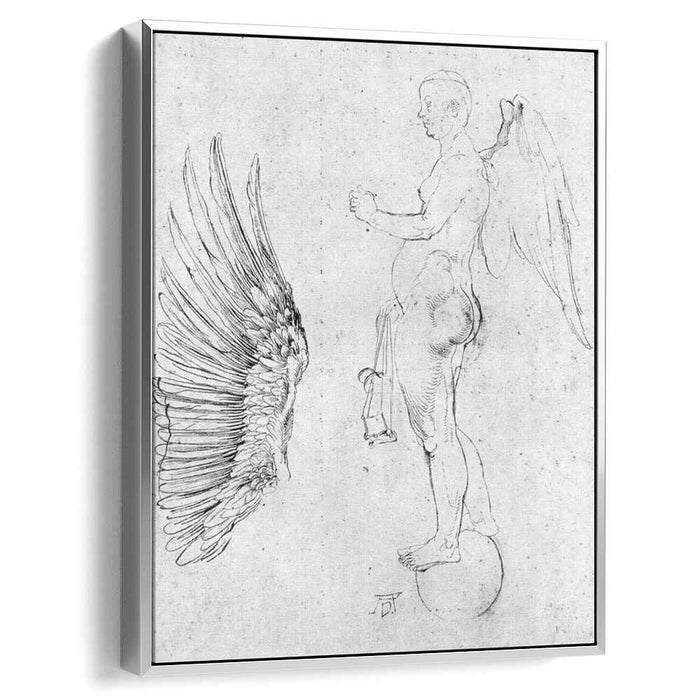 Study to a large fortune (1502) by Albrecht Durer