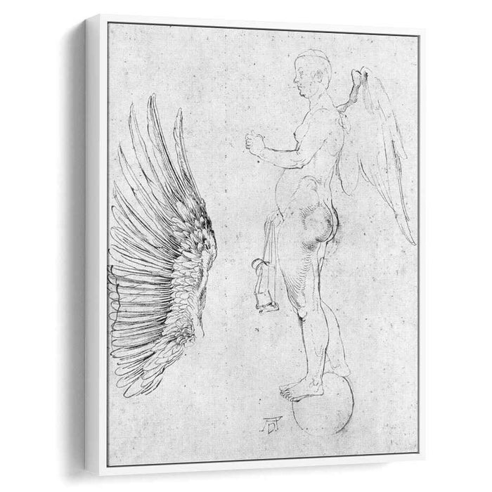 Study to a large fortune (1502) by Albrecht Durer