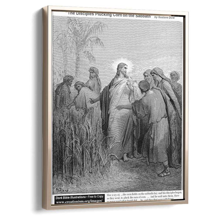 The Disciples Plucking Corn On The Sabbath by Gustave Dore