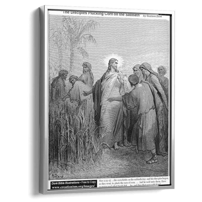 The Disciples Plucking Corn On The Sabbath by Gustave Dore