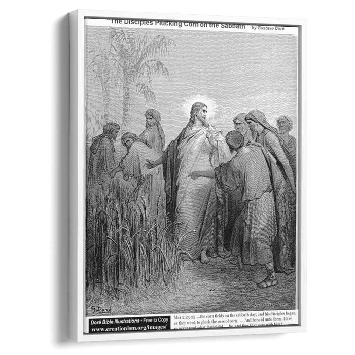 The Disciples Plucking Corn On The Sabbath by Gustave Dore