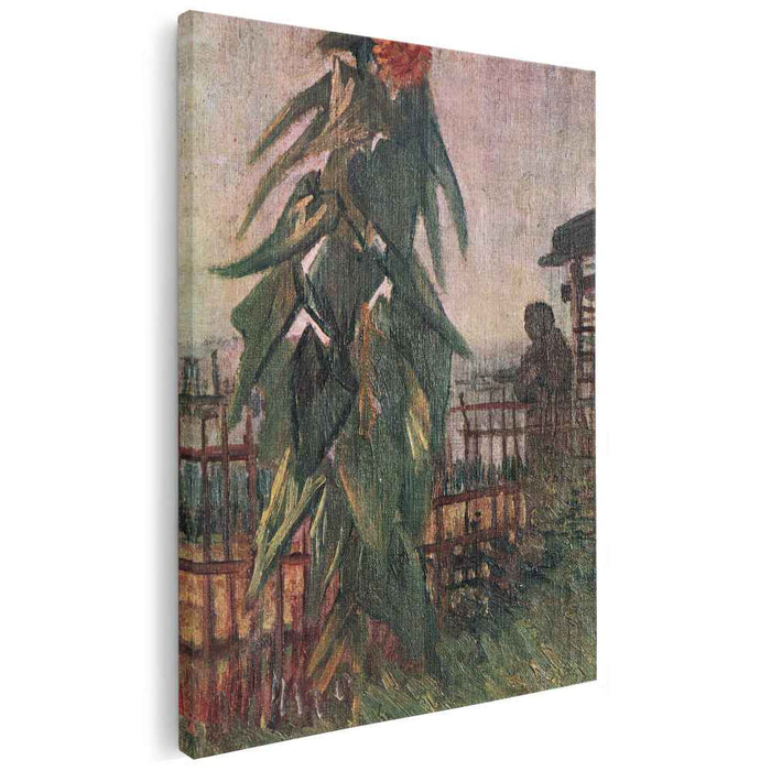 The Garden with Sunflower (1887) by Vincent van Gogh