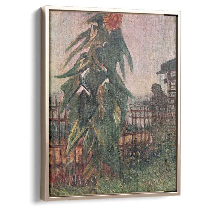 The Garden with Sunflower (1887) by Vincent van Gogh