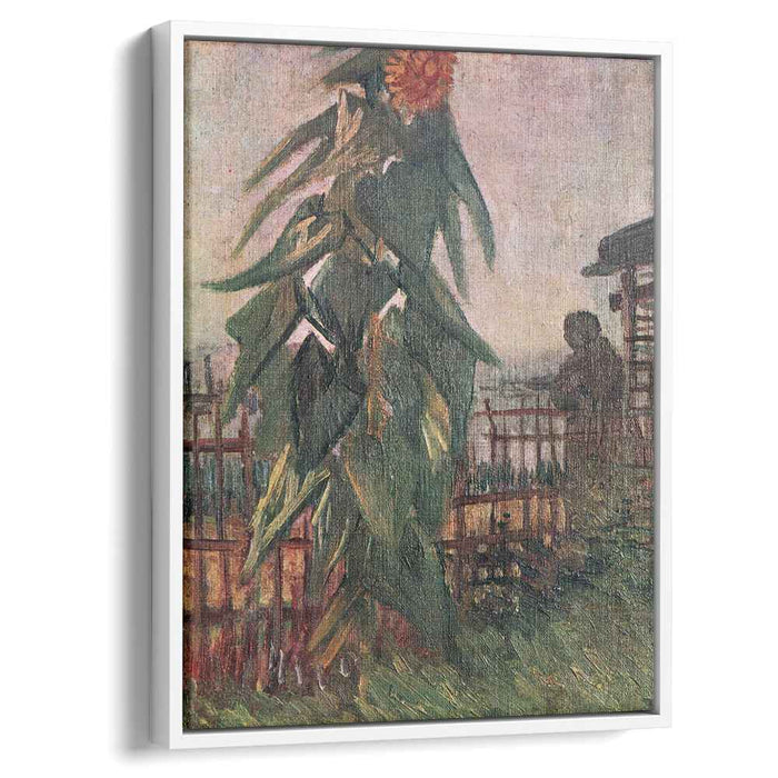 The Garden with Sunflower (1887) by Vincent van Gogh