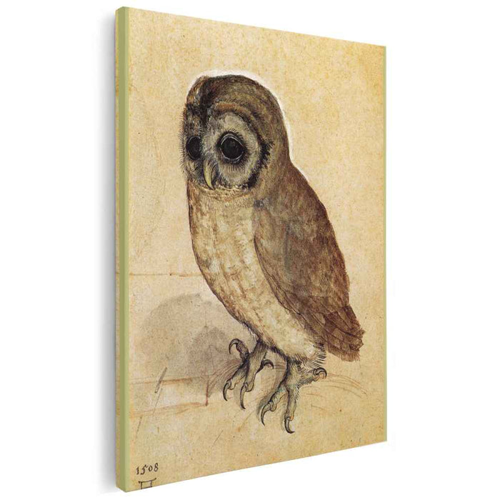 The Little Owl (1506) by Albrecht Durer