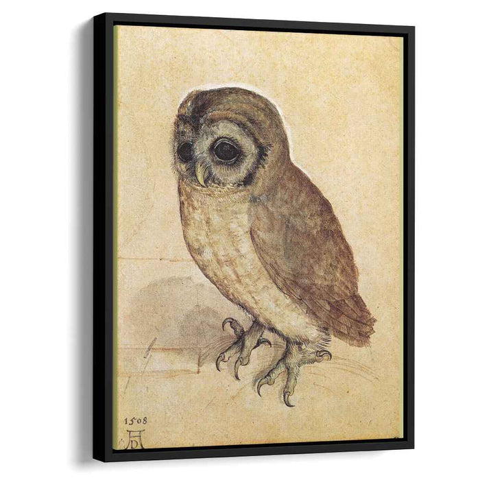 The Little Owl (1506) by Albrecht Durer