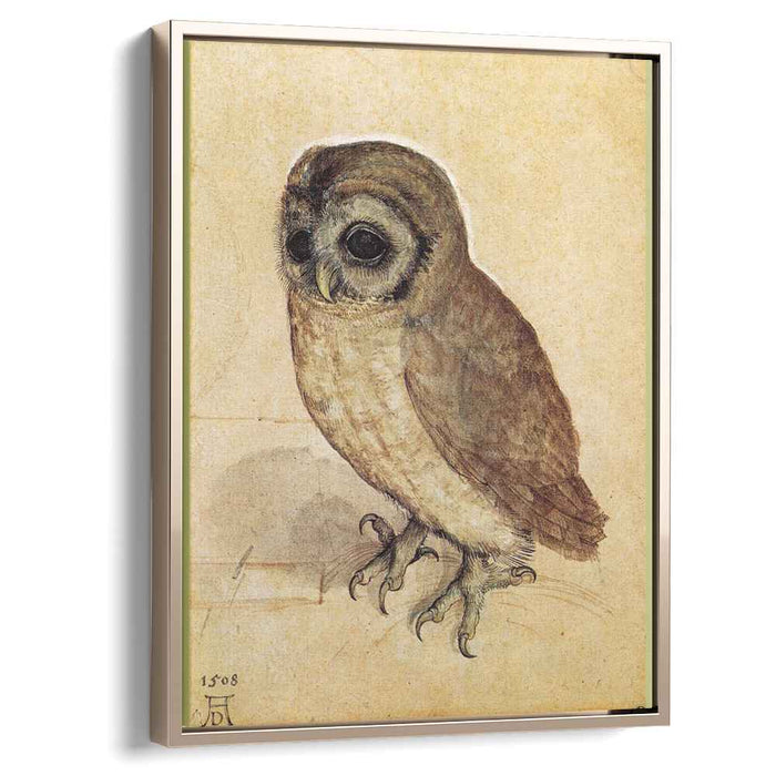 The Little Owl (1506) by Albrecht Durer