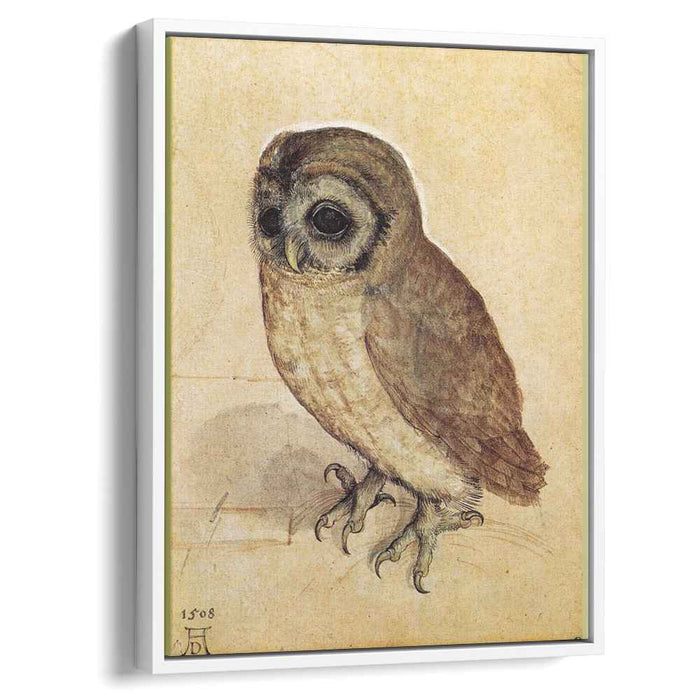 The Little Owl (1506) by Albrecht Durer